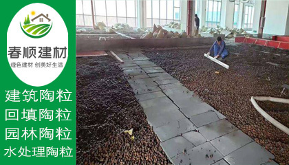 江西濾料廠家供應(yīng)水處理沉水生物陶粒 輕質(zhì)粘土陶?！?></a></div>
                    <div   id=