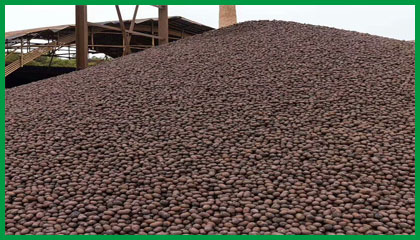 陶?；靥?建筑陶粒 供應(yīng)保溫1-3公分衛(wèi)生間陶粒，回填陶粒